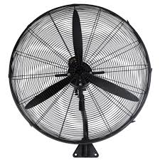 download - 2025-07-26T125448.597