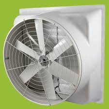 download - 2025-07-26T130452.959