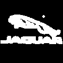 Jaguar_PNG