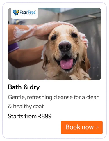 grooming (1)