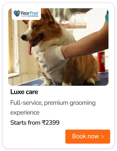 grooming (2)