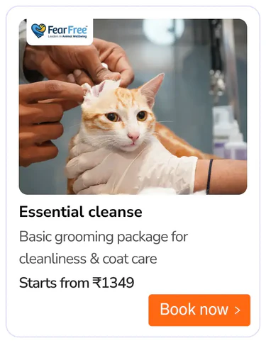 grooming (4)