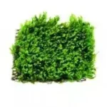 Zipper Moss Attached To Mesh